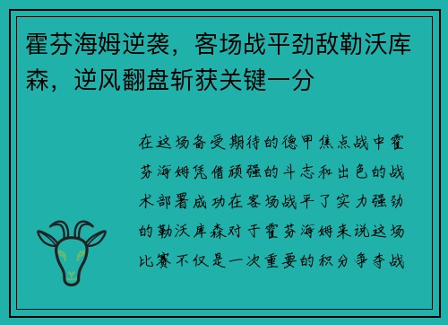 霍芬海姆逆袭，客场战平劲敌勒沃库森，逆风翻盘斩获关键一分